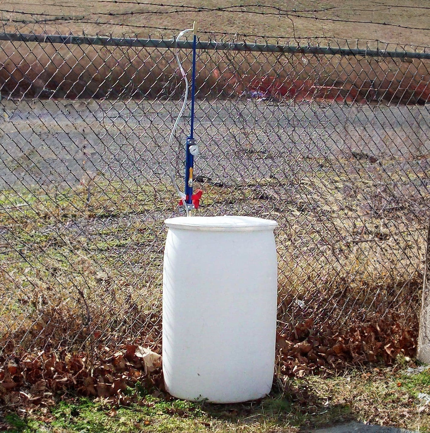 White Drum